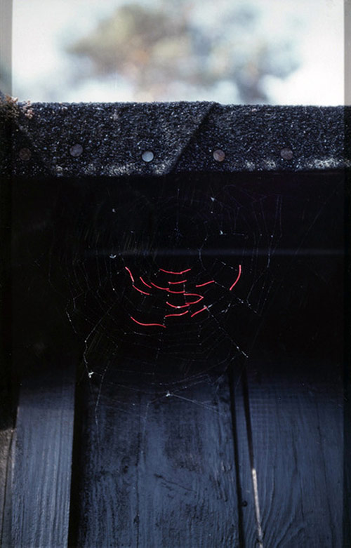 Mended Spiderwebs by Nina Katchadourian