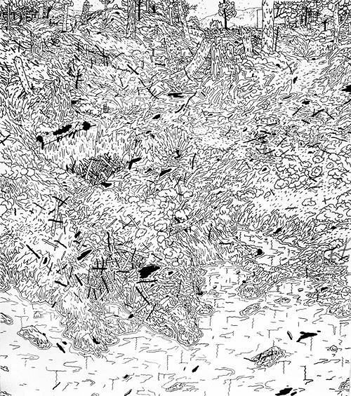 Noah Jamison Hall Frase