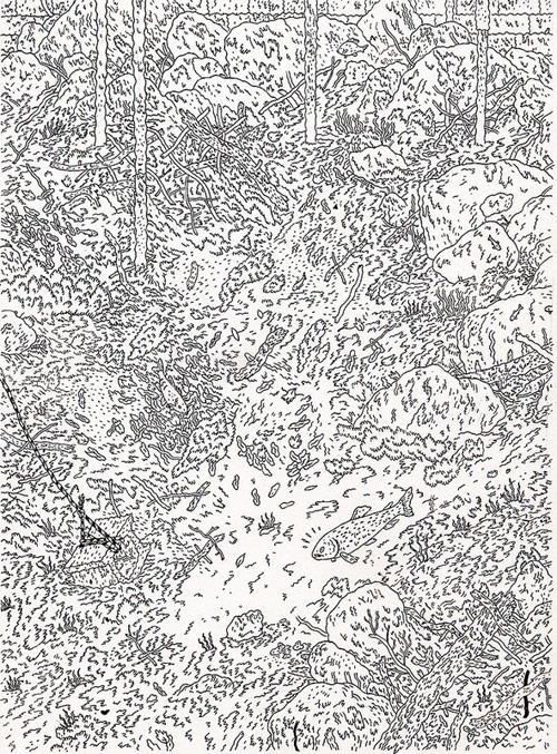 Noah Jamison Hall Frase