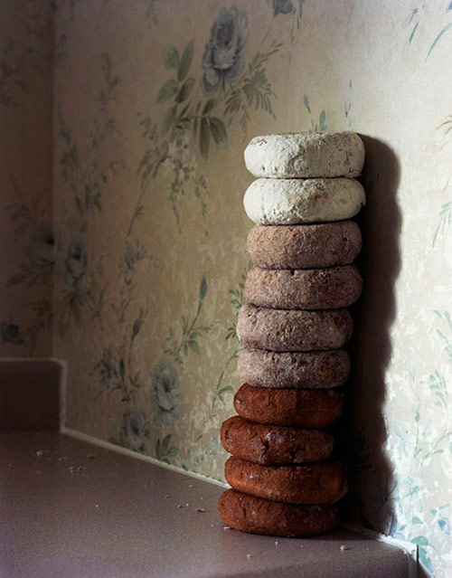 Photographer Rebecca Sittler