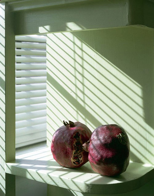 Photographer Rebecca Sittler