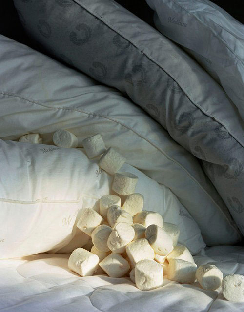 Photographer Rebecca Sittler