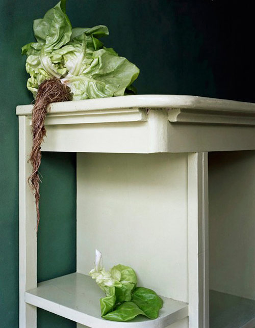 Photographer Rebecca Sittler