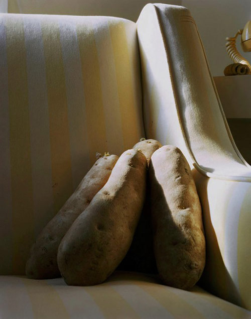 Photographer Rebecca Sittler