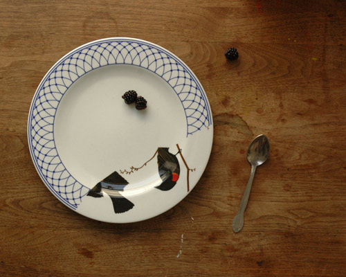 Dishes by Jason Miller Studio