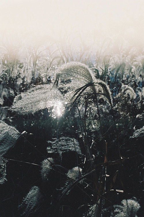 Photographer Kisik Pyo