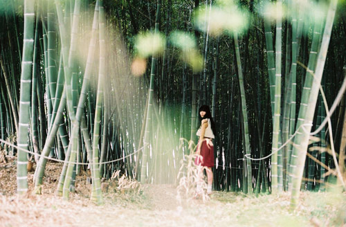 Photographer Kisik Pyo