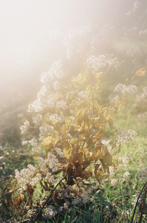 Photographer Kisik Pyo