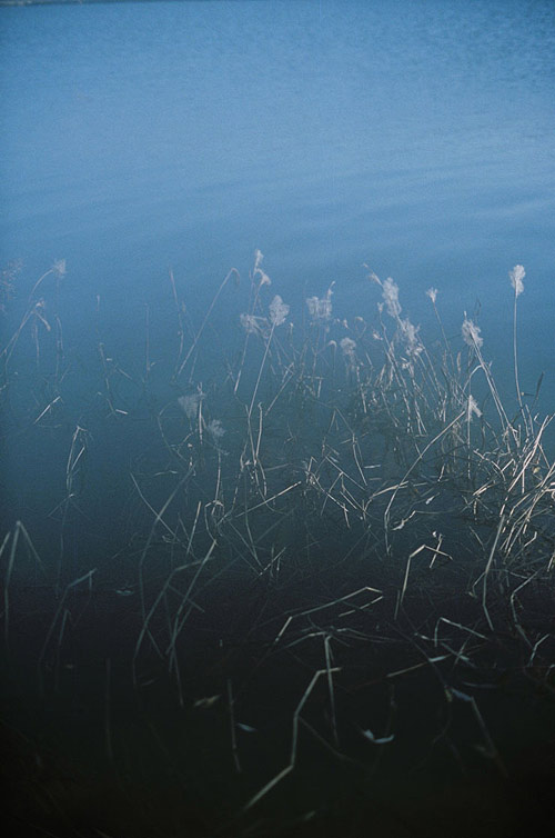 Photographer Kisik Pyo