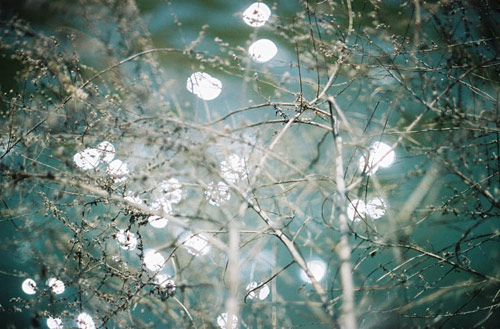 Photographer Kisik Pyo