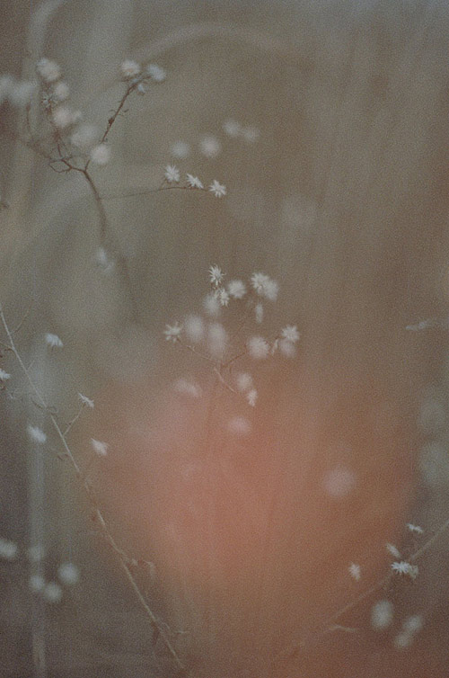 Photographer Kisik Pyo