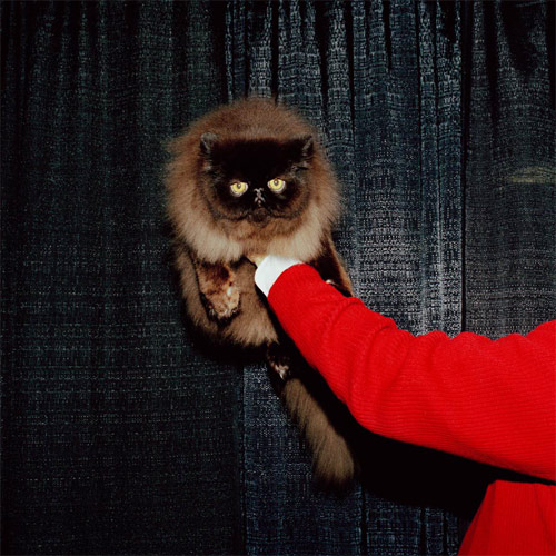 Photographer Mark Hartman