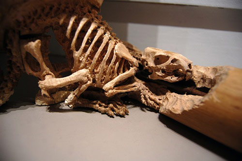 Carvings by artist Maskull Lasserre