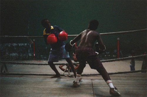 Photographer Matt Wilson