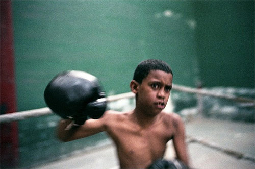 Photographer Matt Wilson