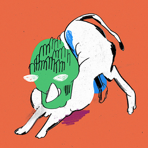 Braulio Amado illustrations design