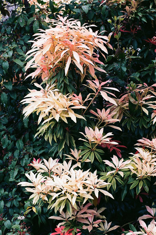 Photographer Chris Taylor