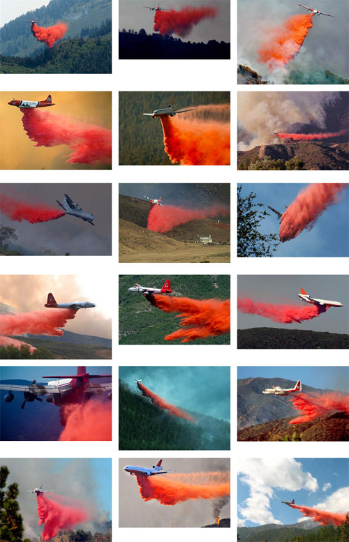 Im Google by Artist Dina Kelberman