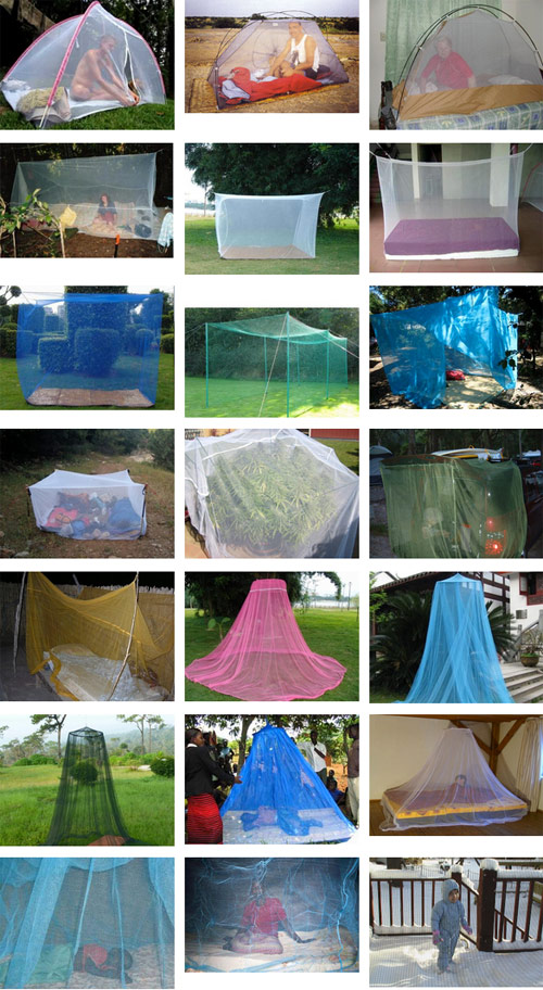 Im Google by Artist Dina Kelberman