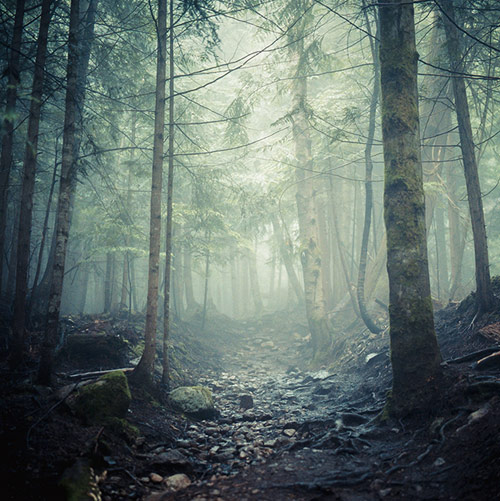 vancouver based photographer andy grellmann