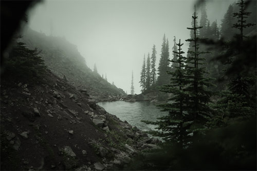 vancouver based photographer andy grellmann