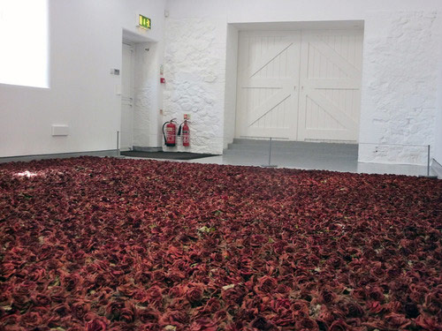 Artist Anya Gallaccio