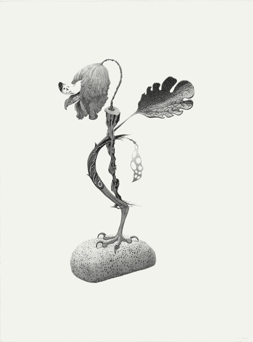 Drawings by artist Armando Veve