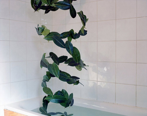 Photographer Ksenia Burnasheva