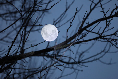 Artist Lucia Scerankova