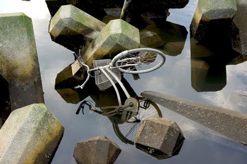 photographer mark drew photography