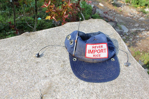 photographer mark drew photography