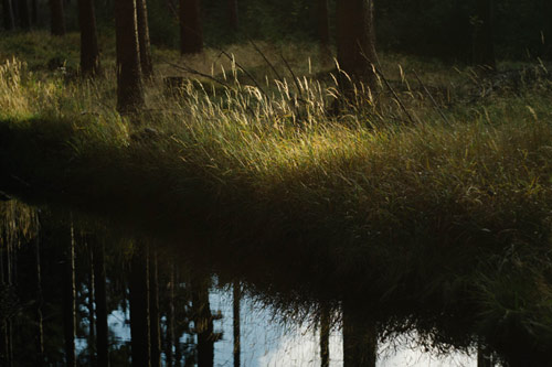 Photographer Martin Ilgner