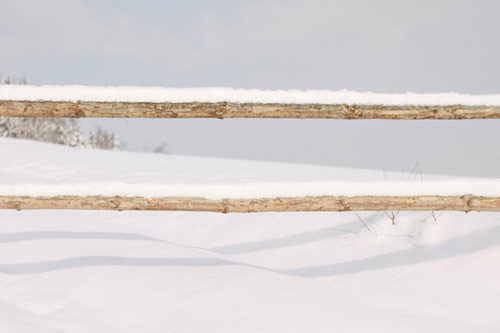 Photographer Martin Ilgner