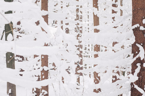 Photographer Martin Ilgner