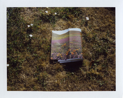 Photographer Serrah Russell