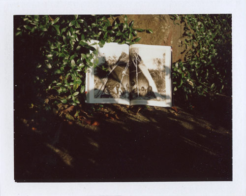 Photographer Serrah Russell