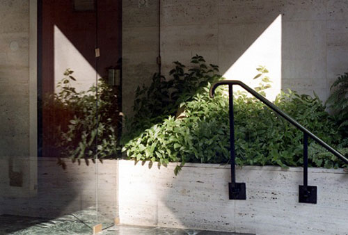 photographer Agota Lukytė