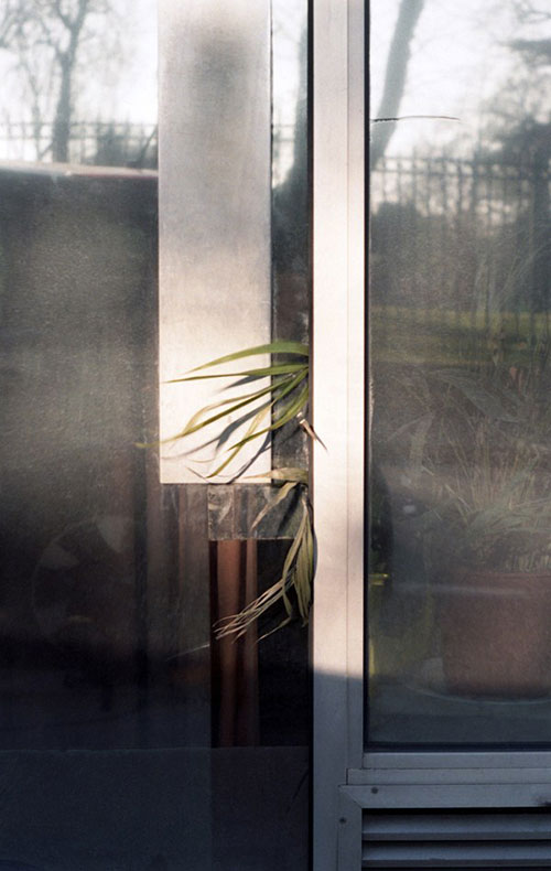 photographer Agota Lukytė