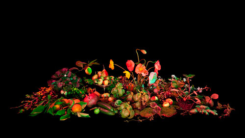 Book of Shadows by Amelia Bauer