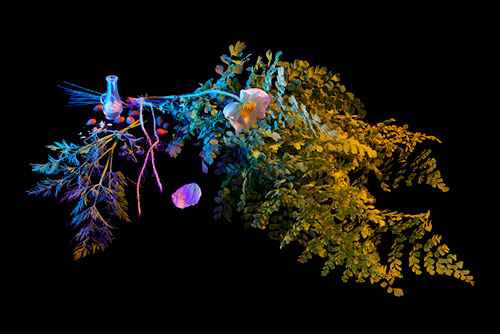 Book of Shadows by Amelia Bauer