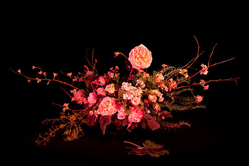 Book of Shadows by Amelia Bauer