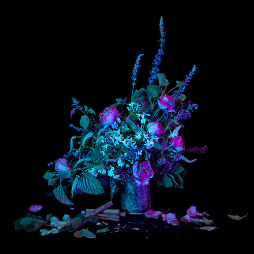 Book of Shadows by Amelia Bauer