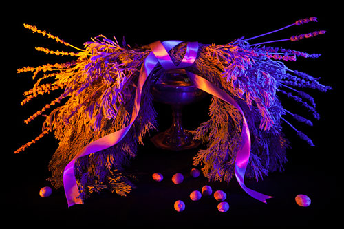 Book of Shadows by Amelia Bauer