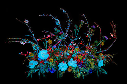 Book of Shadows by Amelia Bauer