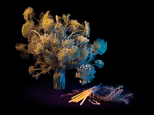 Book of Shadows by Amelia Bauer