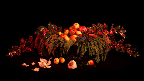 Book of Shadows by Amelia Bauer