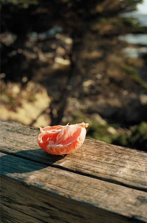 Photographer Ben Grieme