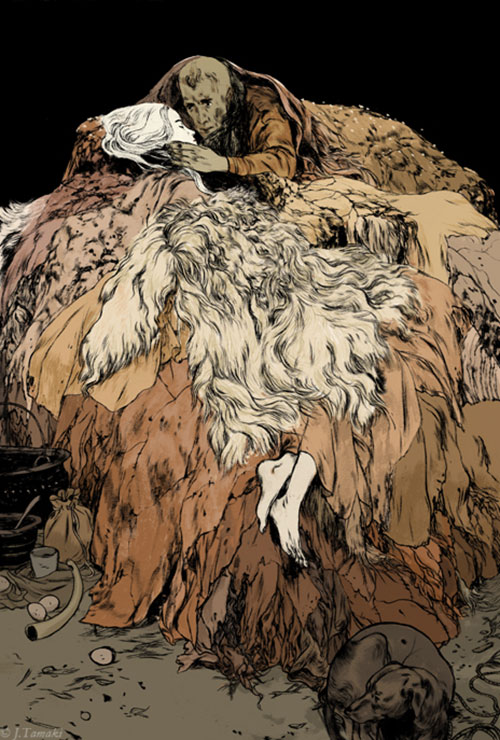 illustrations by Jillian Tamaki