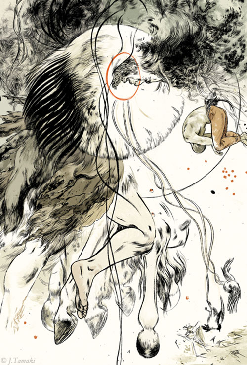 illustrations by Jillian Tamaki