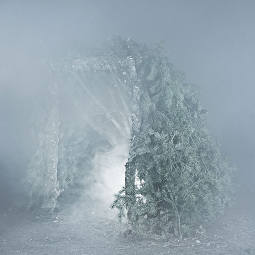 Witness by Photographer Troy Moth